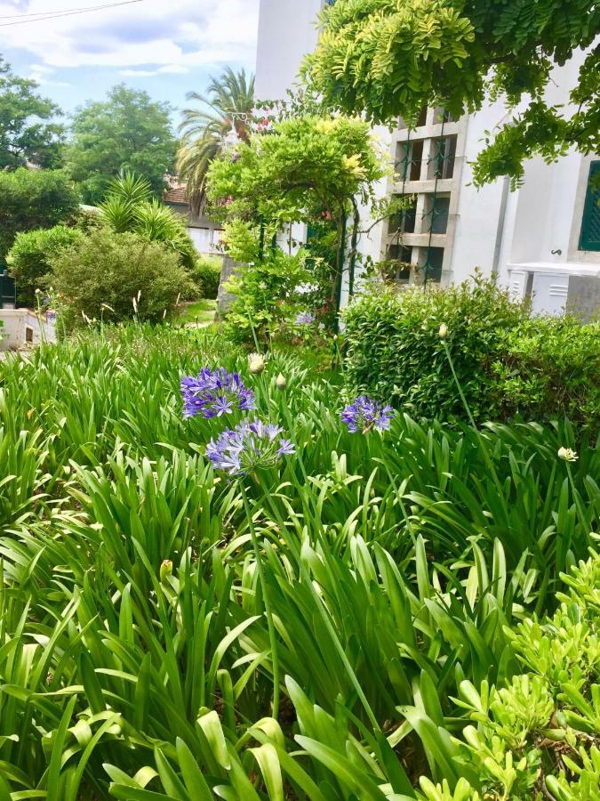 Cascais Seaside Garden Villa Exteriér fotografie